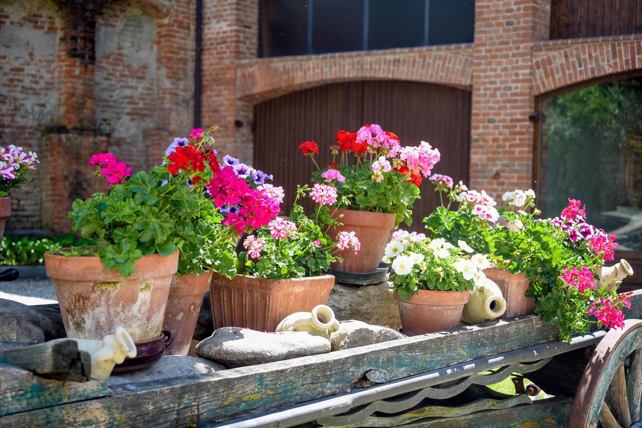 Cascina San Bernardo Villa Magliano Alfieri Dış mekan fotoğraf